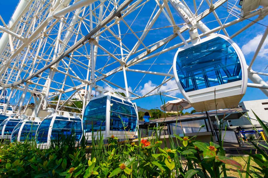 Rio: Museum of Tomorrow, Yup Star & Olympic Boulevard - Inside the Museum of Tomorrow