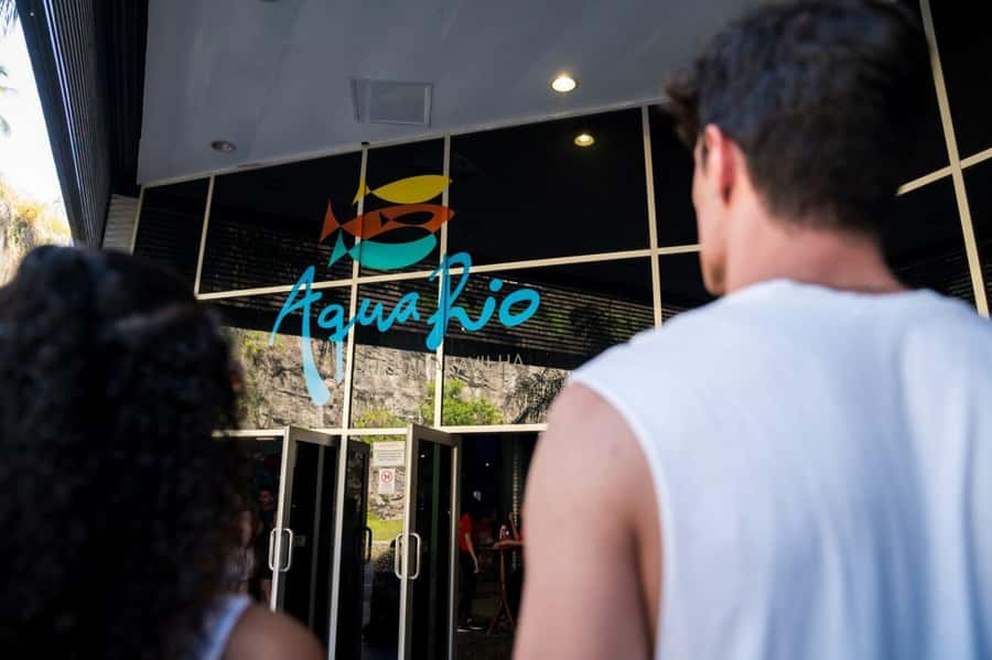 Rio: Olympic Boulevard, AquaRio and Museum of Tomorrow Tour - Rio’s Port District and the New Olympic Boulevard