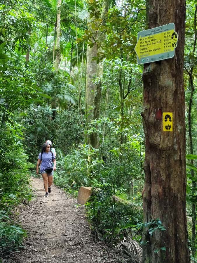 Rio: Private Tour 5 Hours Customized Tour With a Local Guide - Transport, Pickup, and Physical Comfort