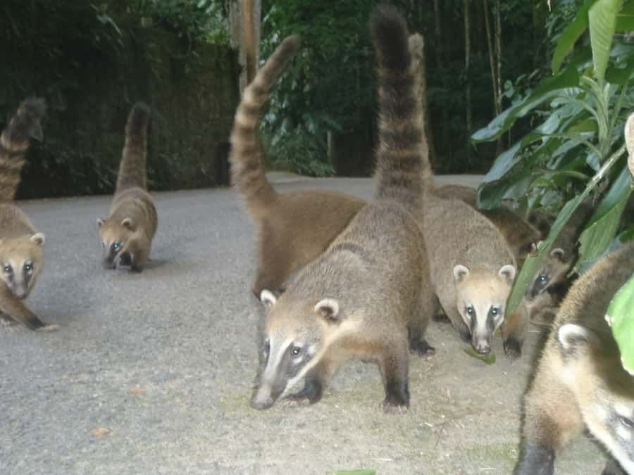 Rio: Private Tour 5 Hours Customized Tour With a Local Guide - Is $109 Per Person Good Value?