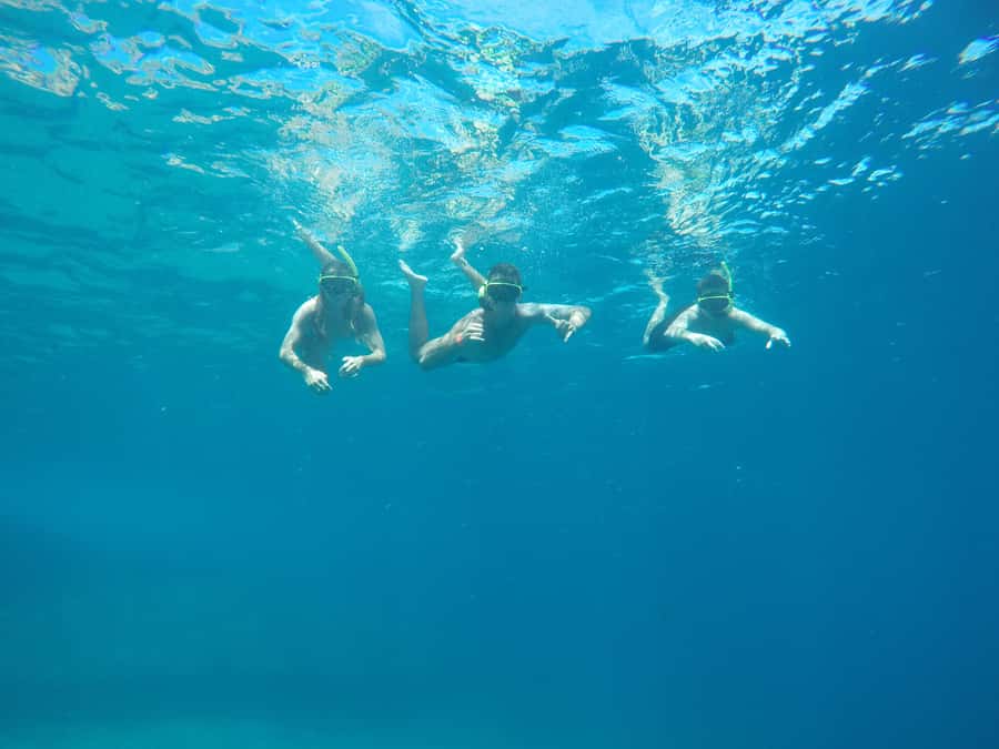 Rio: Snorkel & Swim with Turtles Tour at Tijuca Islands - Key things to know before you book