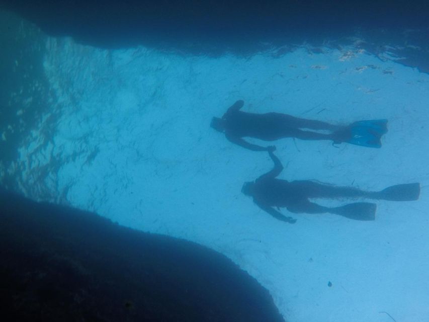 Rio: Snorkel & Swim with Turtles Tour at Tijuca Islands - Should you book the Tijuca Islands tour?