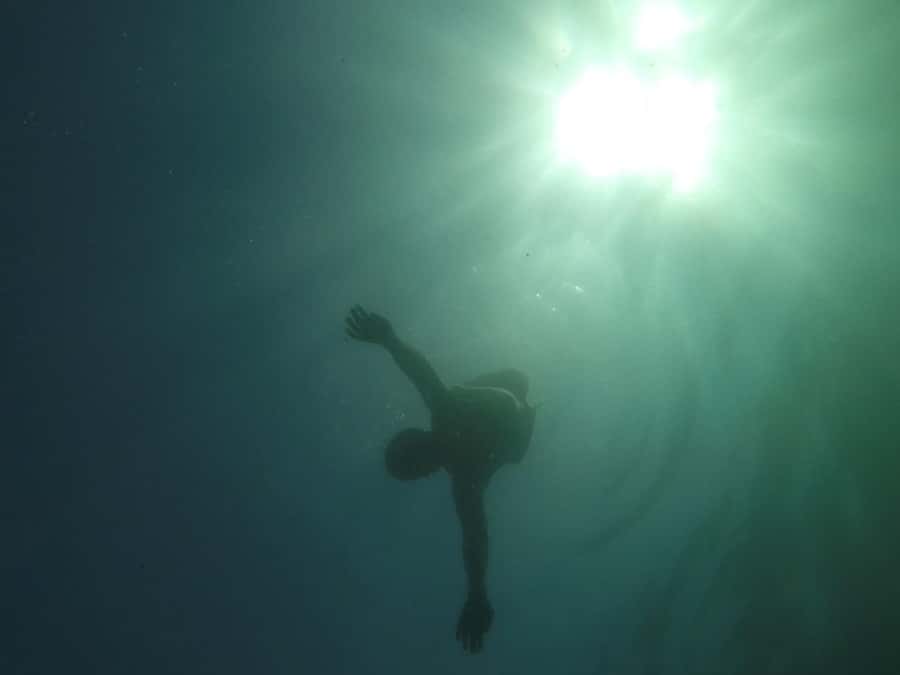 Rio: Snorkel & Swim with Turtles Tour at Tijuca Islands - Who will enjoy this Rio boat tour