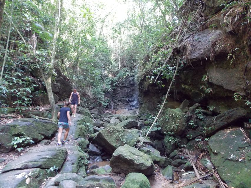 Rio: Tijuca Forest & Horto Waterfalls Circuit Tour - Key points to know before you book