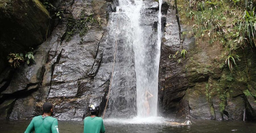 Rio: Tijuca Forest & Horto Waterfalls Circuit Tour - Why Horto is a smart break from Rio’s beaches