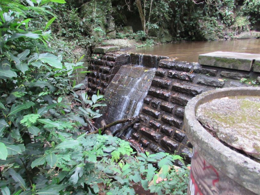 Rio: Tijuca Forest & Horto Waterfalls Circuit Tour - Following the Horto Waterfall Trail