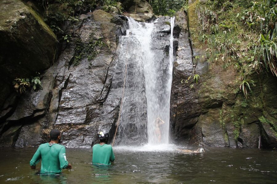 Rio: Tijuca Forest & Horto Waterfalls Circuit Tour - Wildlife, plants, and the stories behind Horto