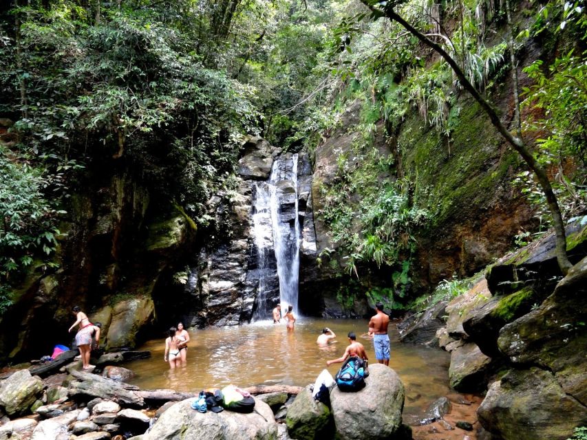 Rio: Tijuca Forest & Horto Waterfalls Circuit Tour - Is $56 good value?