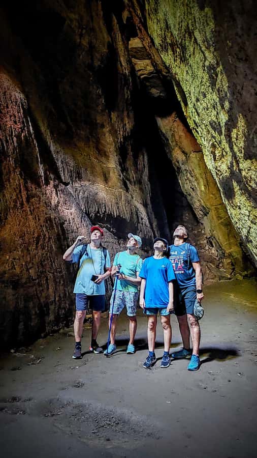 Rio: Tijuca Forest Small Group Hike to Caves and Waterfalls - Key points at a glance