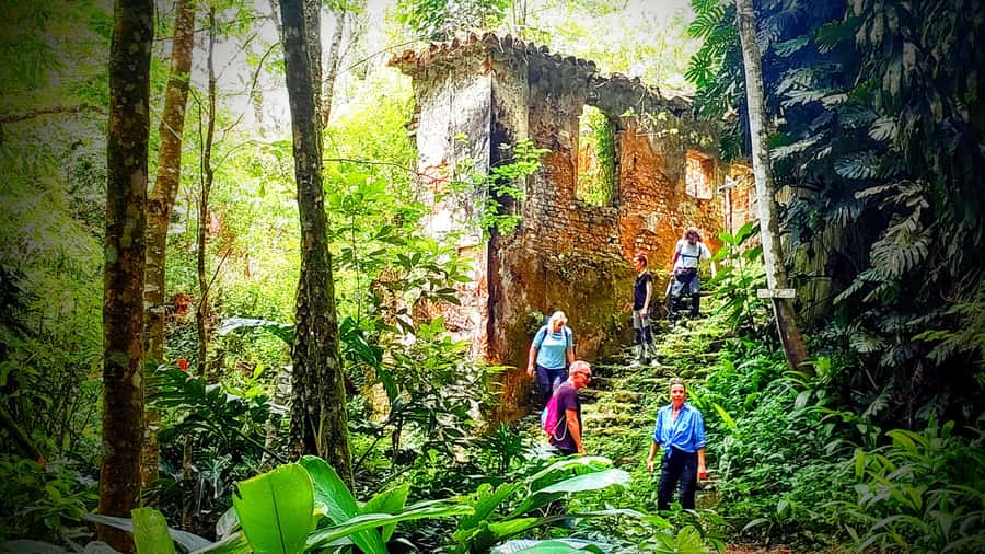 Rio: Tijuca Forest Small Group Hike to Caves and Waterfalls - Why this Tijuca Forest hike is worth your time