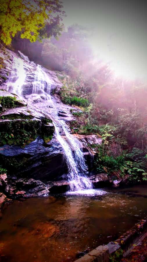 Rio: Tijuca Forest Small Group Hike to Caves and Waterfalls - Cascata da Baronesa, the best place to cool off