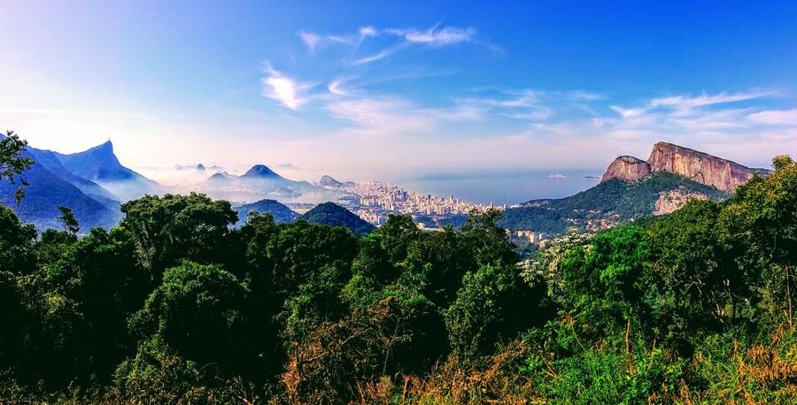 Rio: Tijuca National Park Small-Group Hike to Pedra Bonita - The 3.5-kilometer hike to Pedra Bonita