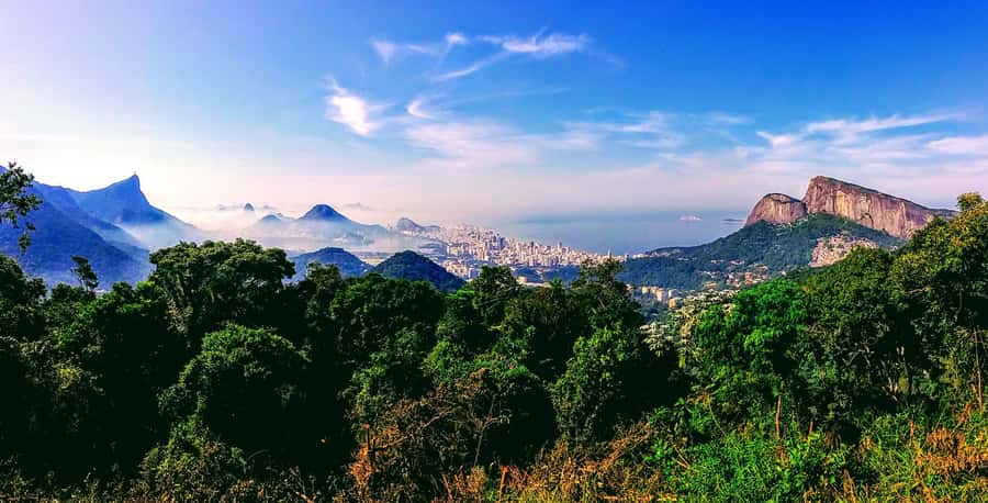 Rio: Tijuca National Park Small-Group Hike to Pedra Bonita - Reaching Pedra Bonita at 696 meters