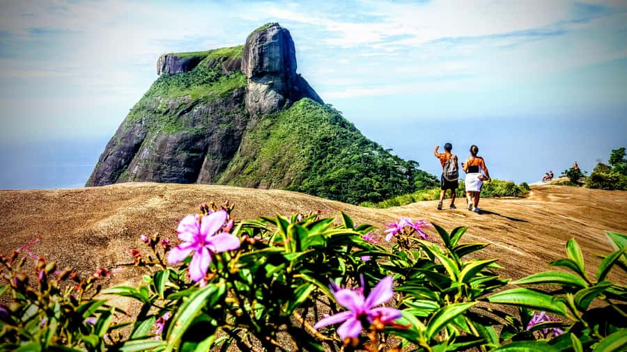 Rio: Tijuca National Park Small-Group Hike to Pedra Bonita - What the $63 price includes