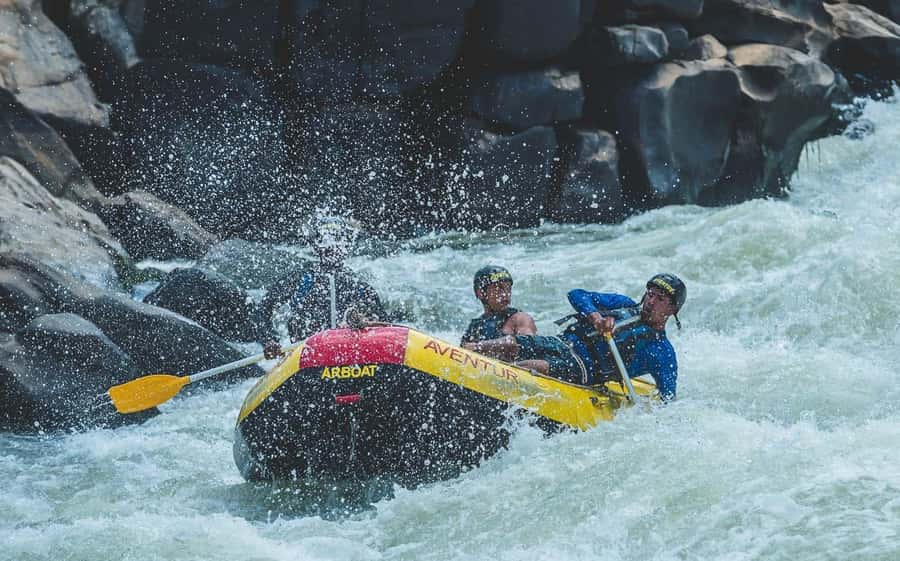 Rio: White Water Rafting Adventure tour in Rio de Janeiro - Atlantic rainforest scenery and wildlife