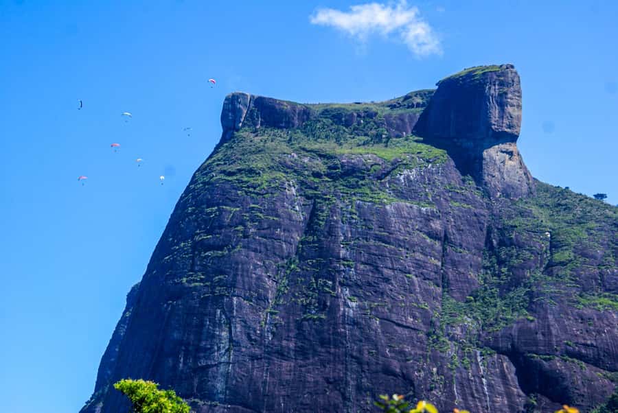 Rocinha Jeep Tour: A Journey into the Soul of the Favela! - Who will enjoy this outing