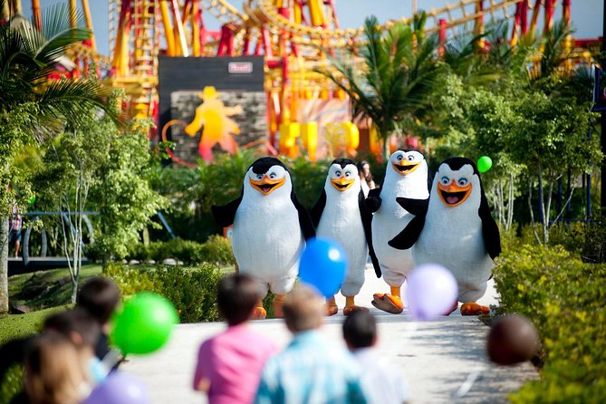 Round Trip Beto Carrero World from Balneario Camboriu - What you can do inside Beto Carrero World