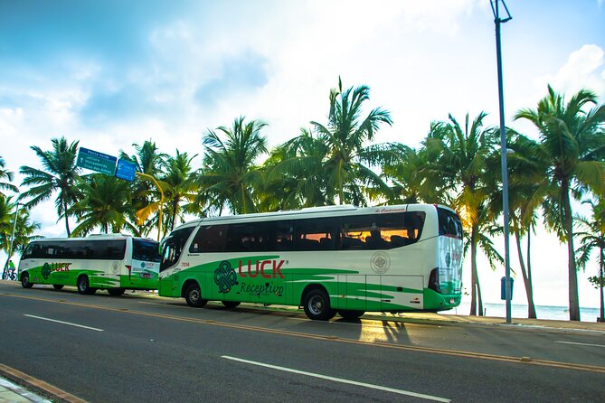 Round trip transfer between Airport and Hotels in Maceió - Arriving at Palmares Airport in Maceió