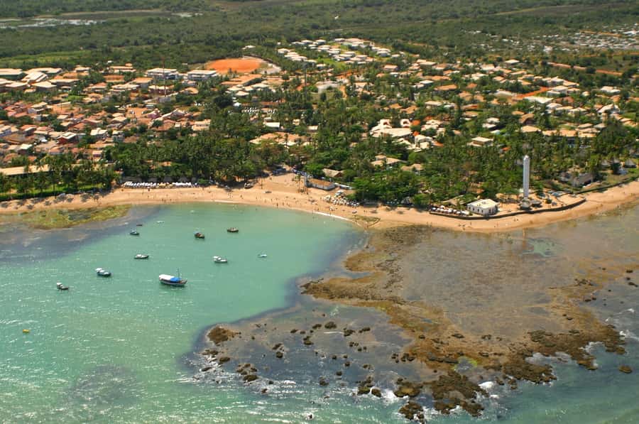 Salvador: Praia Do Forte and Guarajuba Beach Day Trip - From Salvador to Bahia’s Coconut Road