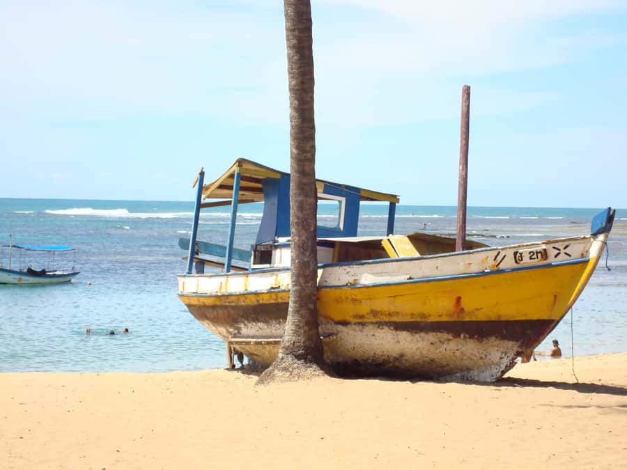 Salvador: Praia Do Forte and Guarajuba Beach Day Trip - A full day, but not a private beach escape