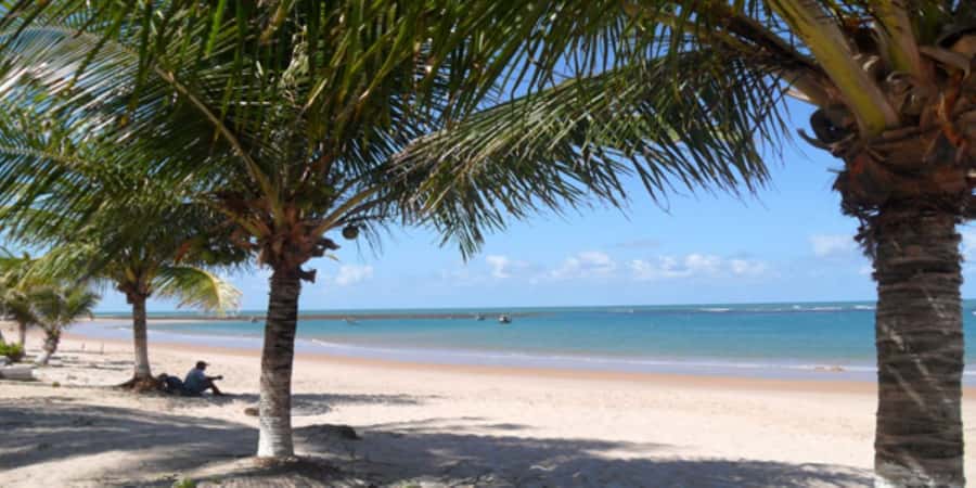Salvador: Praia Do Forte and Guarajuba Beach Day Trip - What to bring for the beach stops