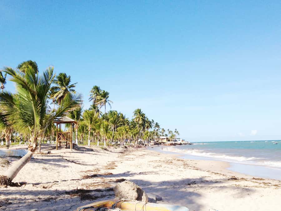 Salvador: Schooner Cruise with Pickup and Itaparica Stop - Ilha dos Frades: the day’s best beach stop