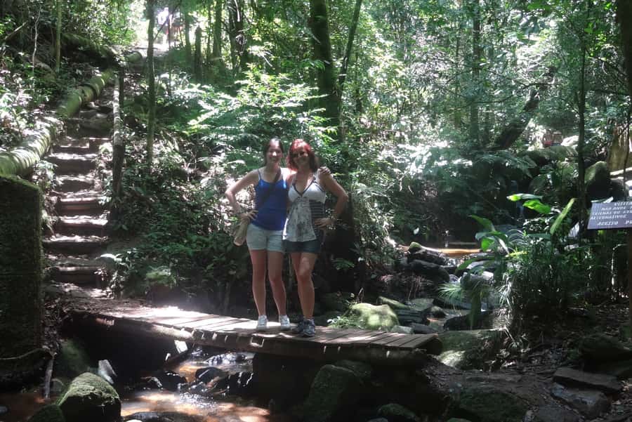 São Paulo: Cantareira Natural Park Guided Rainforest Hike - Why Cantareira makes a good São Paulo escape