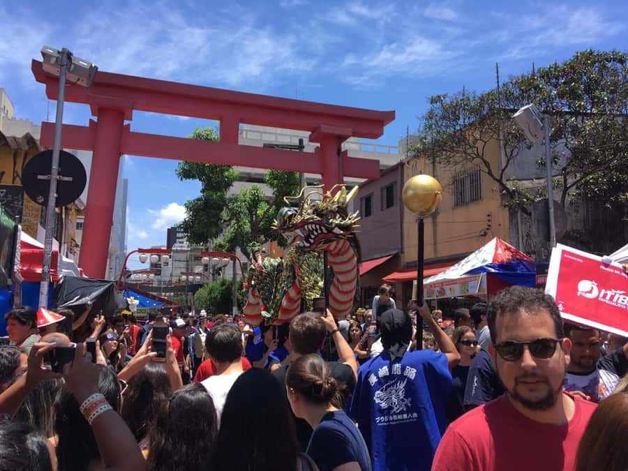 São Paulo: City Highlights Guided Tour - The guides and language balance