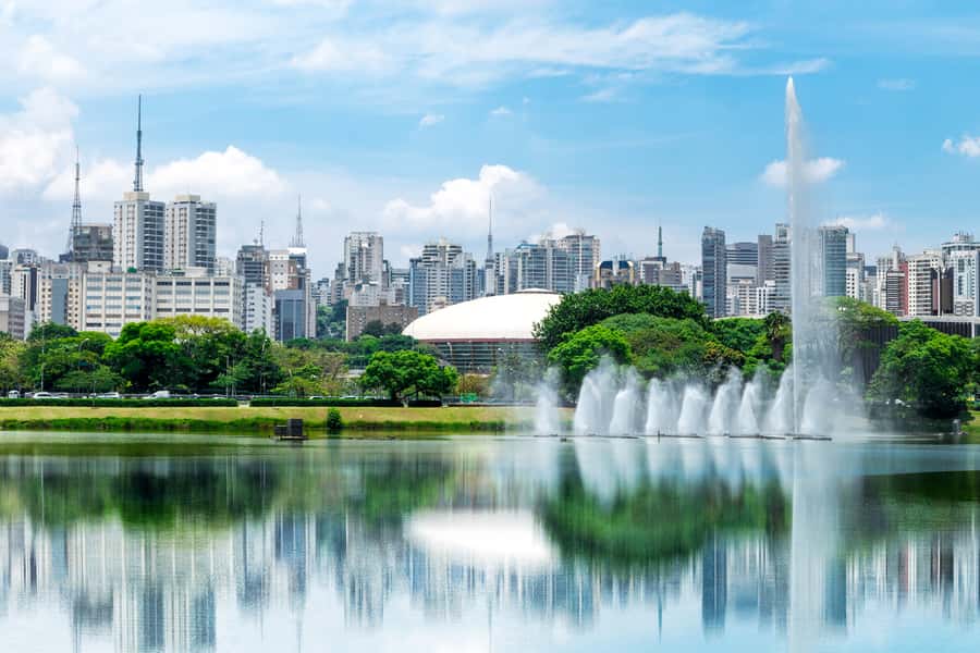 São Paulo: Classic Half-Day Private Sightseeing Guided Tour - Paulista Avenue shows modern São Paulo at full scale