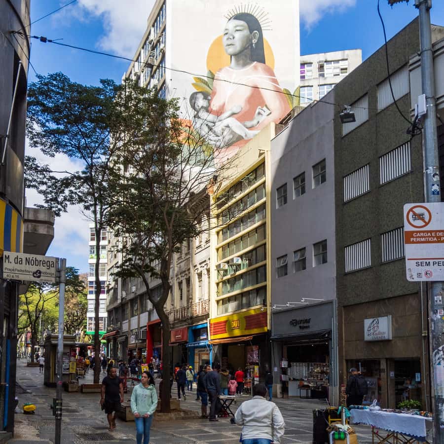 Sao Paulo: Downtown-Center Walking Tour | 2 Hours - English - What Giuliano adds to the experience