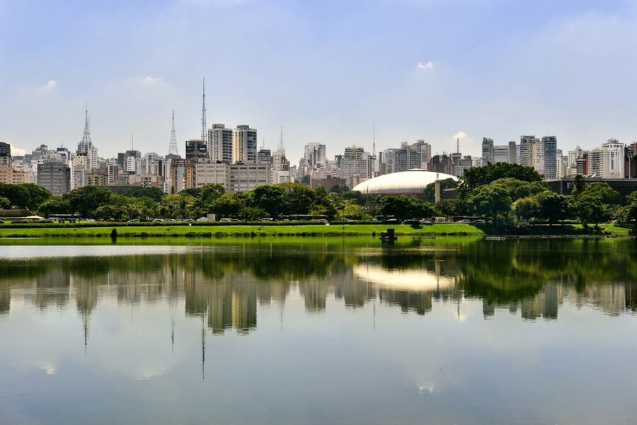 São Paulo: Full-Day Guided City Tour from the Port of Santos - Liberdade and São Paulo’s Japanese-Brazilian story
