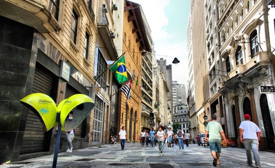 São Paulo: Full-Day Guided City Tour from the Port of Santos - Ibirapuera Park, 158 hectares of breathing room