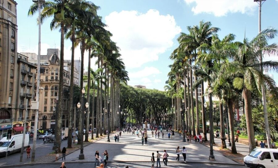 São Paulo: Full-Day Guided City Tour from the Port of Santos - What the eight-hour schedule really gives you
