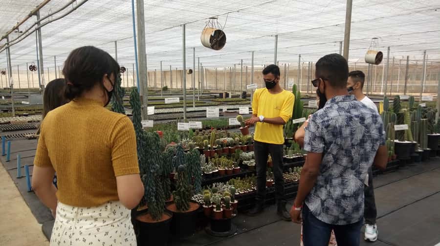São Paulo: Holambra Colorful Flower Farm Guided Day Trip - Walking through Holambra’s main sights