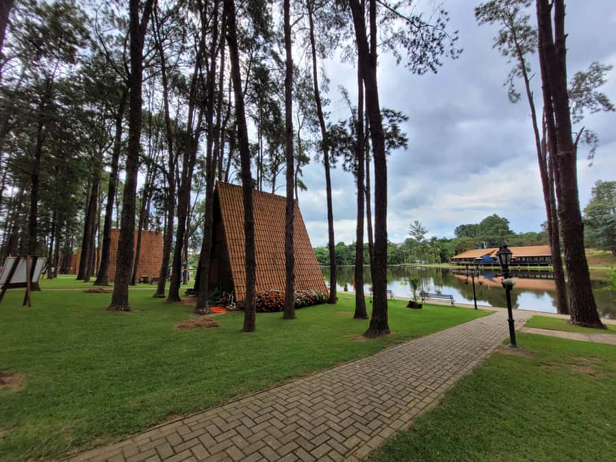 São Paulo: Holambra Colorful Flower Farm Guided Day Trip - Booking details worth checking first