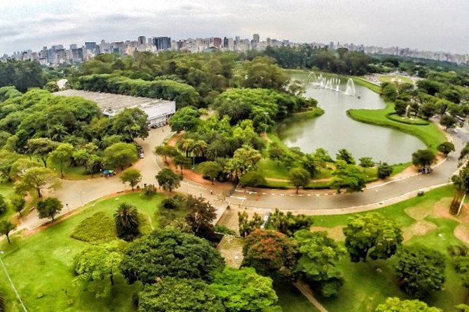 São Paulo Major Tourist Attractions Private Tour: 8-Hour (Santos City Pick-up) - Liberdade, Sé Cathedral, and the old center
