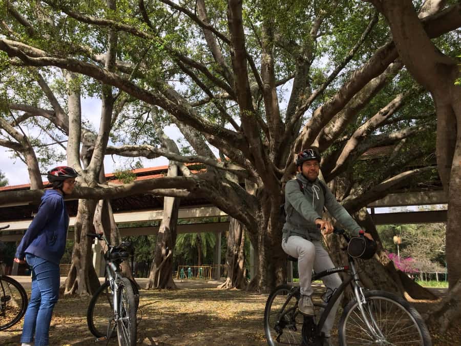 São Paulo: Street Art Bike Tour - What a bike adds to the art tour