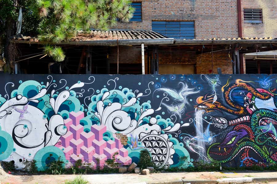 São Paulo Street Art Tour - Who gets the best value from the price