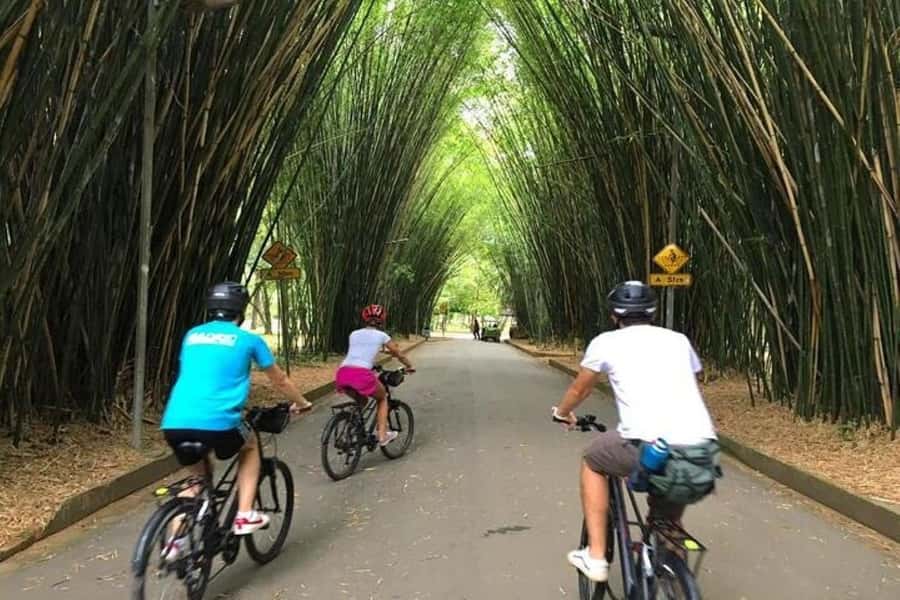 Sao Paulo: The Coolest Urban Scenes Bike Tour - Key points to know before you book