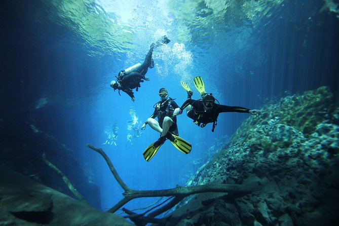 Skip the Line: Lagoa Misteriosa Admission Ticket with Scuba Diving Experience - What happens from the forest path to the water