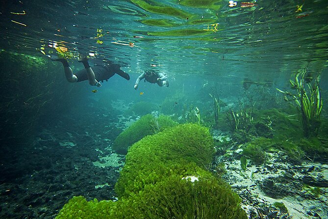 Snorkel in the Sucuri River - What the Sucuri River experience is really like