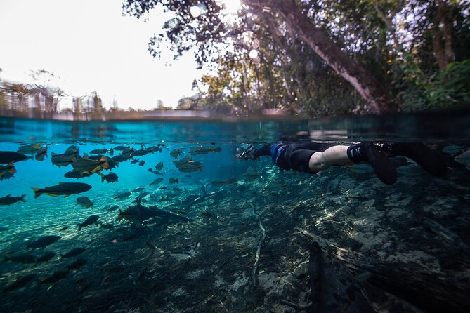 Snorkel in the Sucuri River - Getting fitted for the Rio Sucuri float