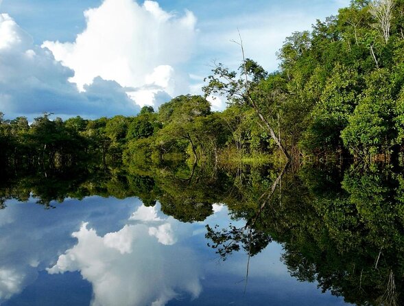 Snorkel in the Sucuri River - Two hours inside a natural aquarium