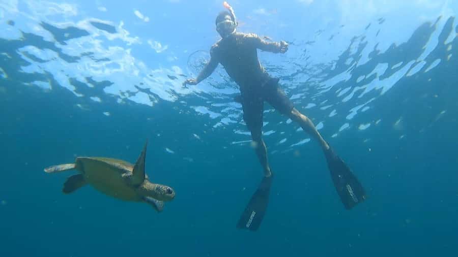Snorkeling with turtles in their natural habitat - Mateus makes the water easier to enjoy