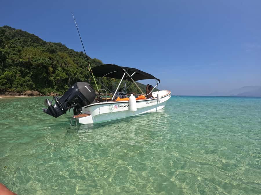 Snorkeling with turtles in their natural habitat - Who gets the best value from this Ilha Grande trip