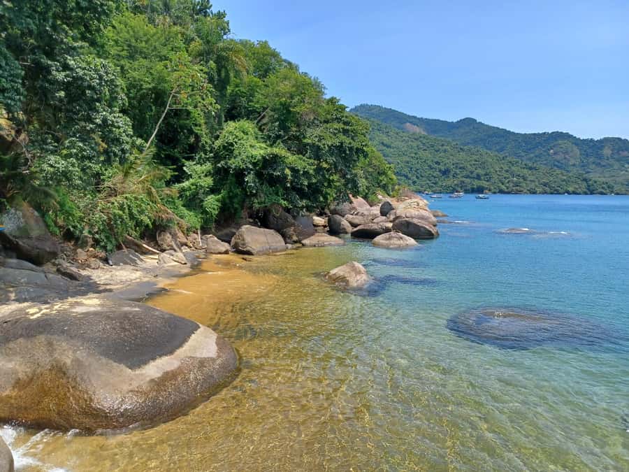 Snorkeling with turtles in their natural habitat - Should you book this turtle snorkeling tour?