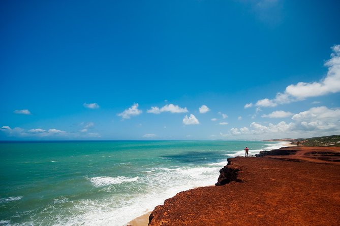 Sun and Fun at Pipa Beach: Day Tour from Natal - Chapadão: the best cliff view