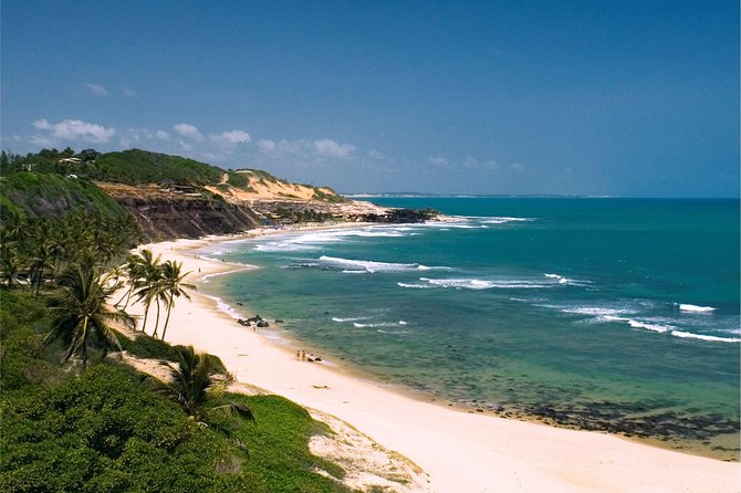 Sun and Fun at Pipa Beach: Day Tour from Natal - Transport, guide service, and the pace of the day