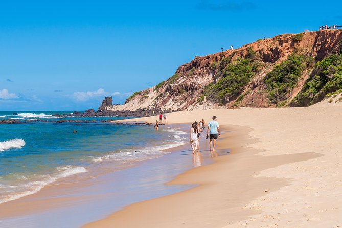 Sun and Fun at Pipa Beach: Day Tour from Natal - Baia dos Golfinhos and the tide question