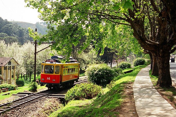 The Brazilian Switzerland - Day Trip on Campos do Jordão from São Paulo - A long ride made easier by a small group